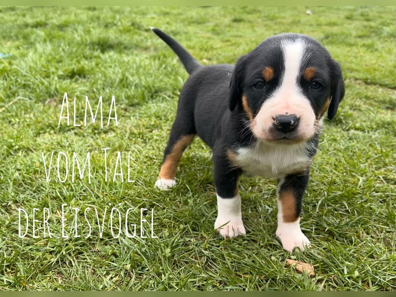 Alma