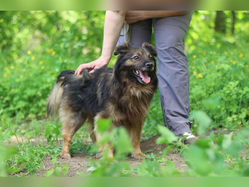 HALE Möchte einfach dazugehören (Ukraine)