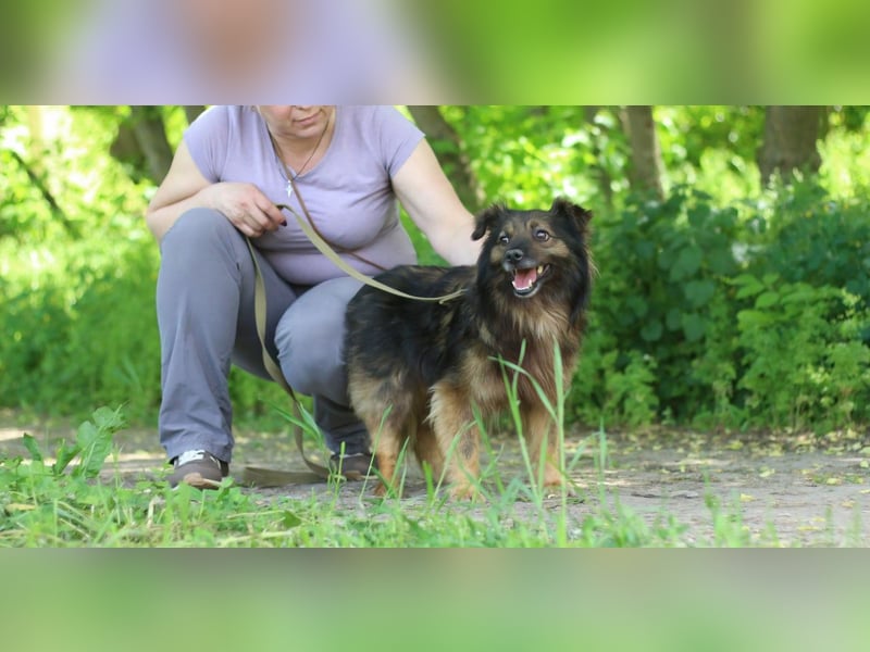 HALE Möchte einfach dazugehören (Ukraine)