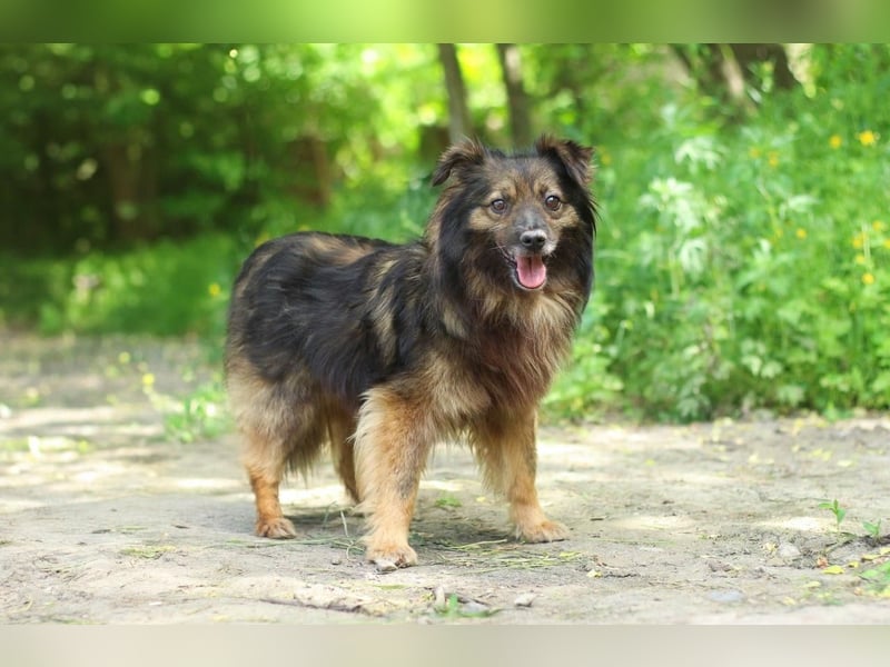 HALE Möchte einfach dazugehören (Ukraine)