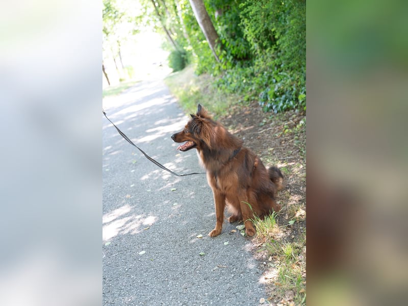 Schöner Emil ( * 03 / 2021 ) sucht seine Familie