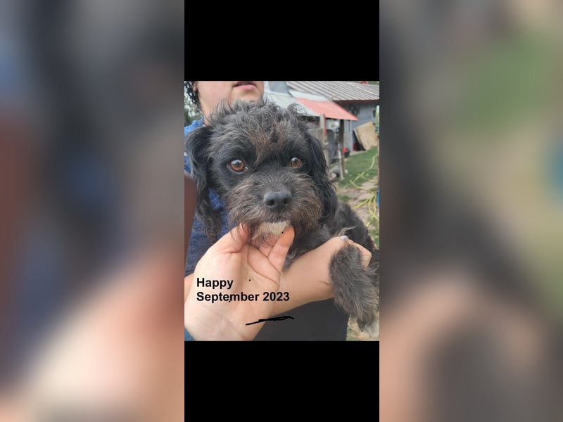 Süße kleine Happy Süße kleine Happy