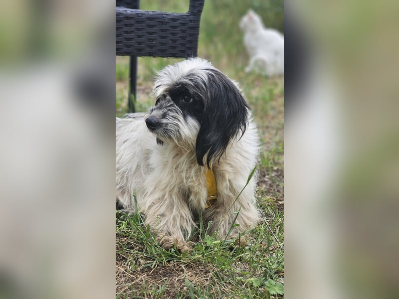 Baily ist bereit Neues zu lernen