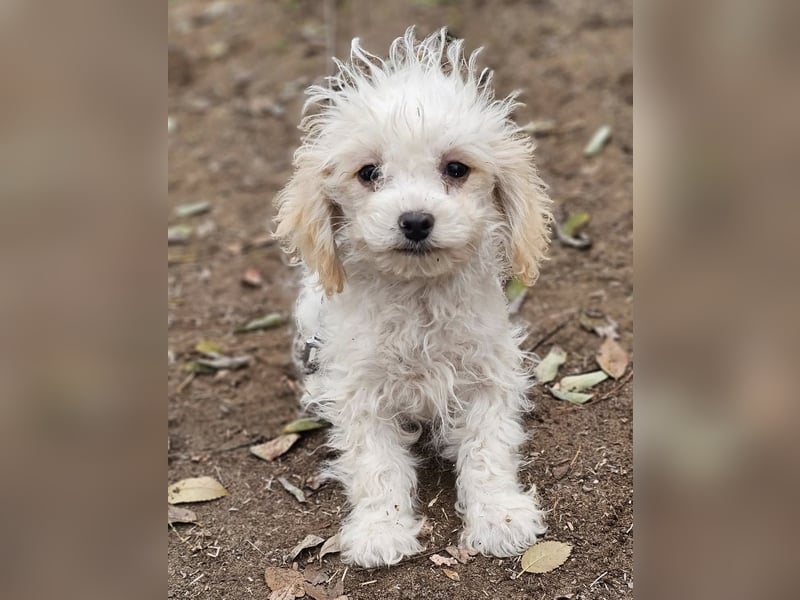 Arion möchte noch viel lernen