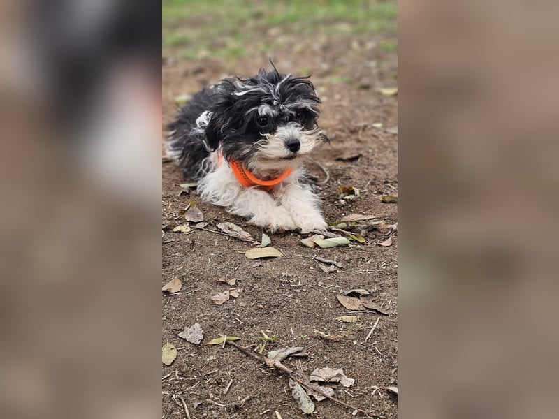 Alexia kennt nicht viel von der Welt