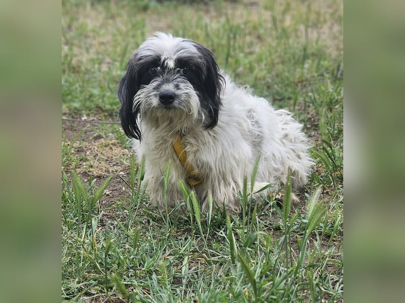 Baily ist bereit Neues zu lernen