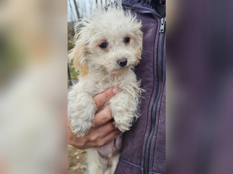 Arion möchte noch viel lernen