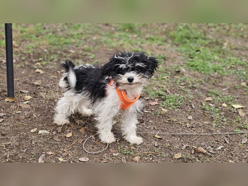 Alexia kennt nicht viel von der Welt