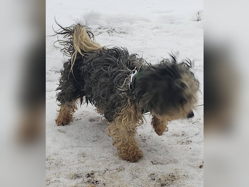 Aldon ist ein verträglicher Zeitgenosse