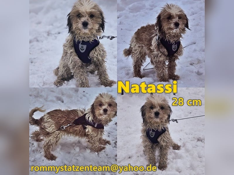 Natassi wird gerne mental gefordert