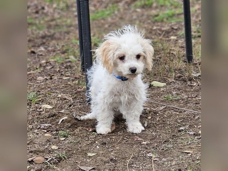 Arion möchte noch viel lernen