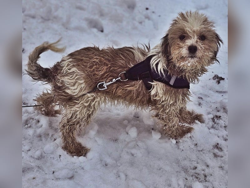 Natassi wird gerne mental gefordert