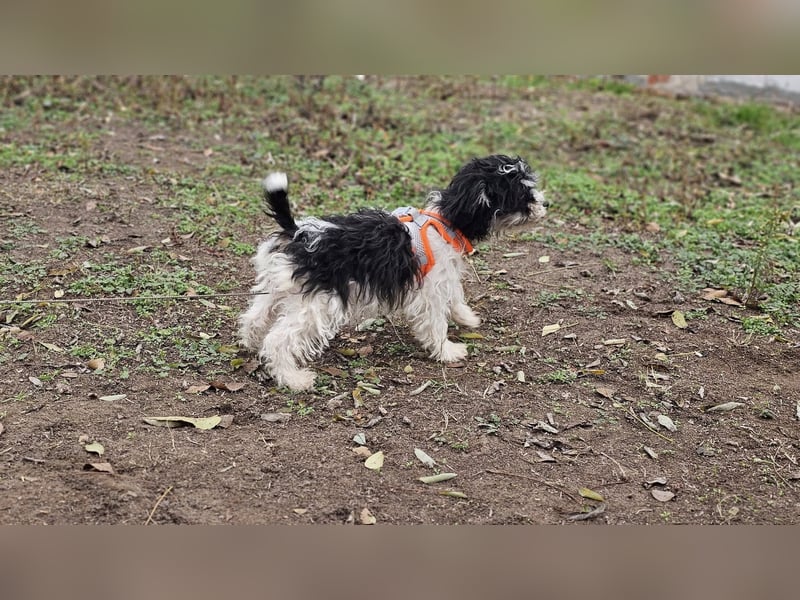 Alexia kennt nicht viel von der Welt