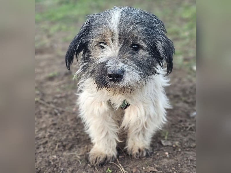 Andrin hat keine schöne Vergangenheit