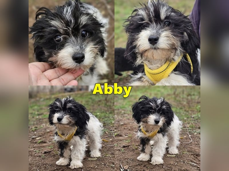 Abby möchte die Welt erobern