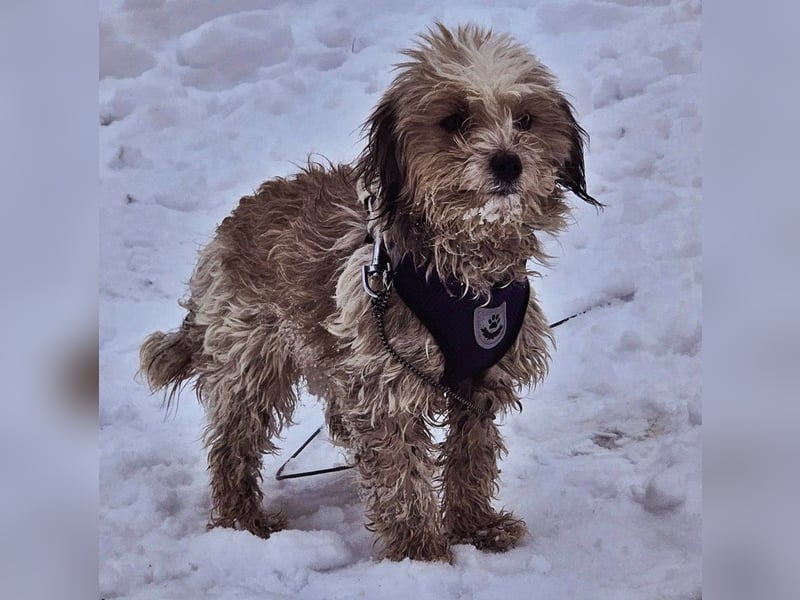 Natassi wird gerne mental gefordert
