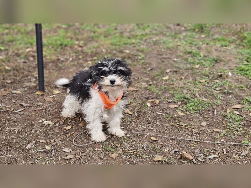 Alexia kennt nicht viel von der Welt