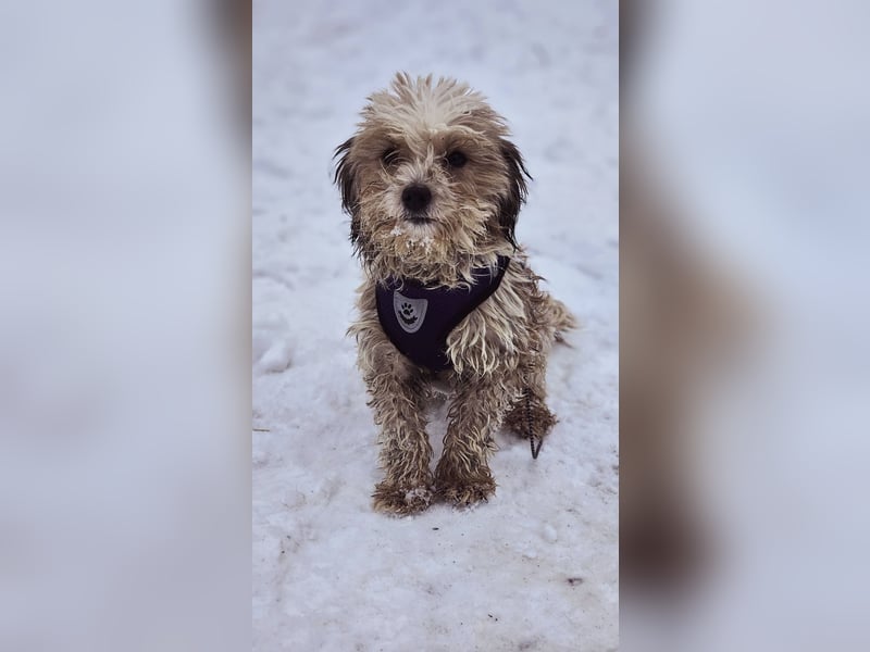 Natassi wird gerne mental gefordert