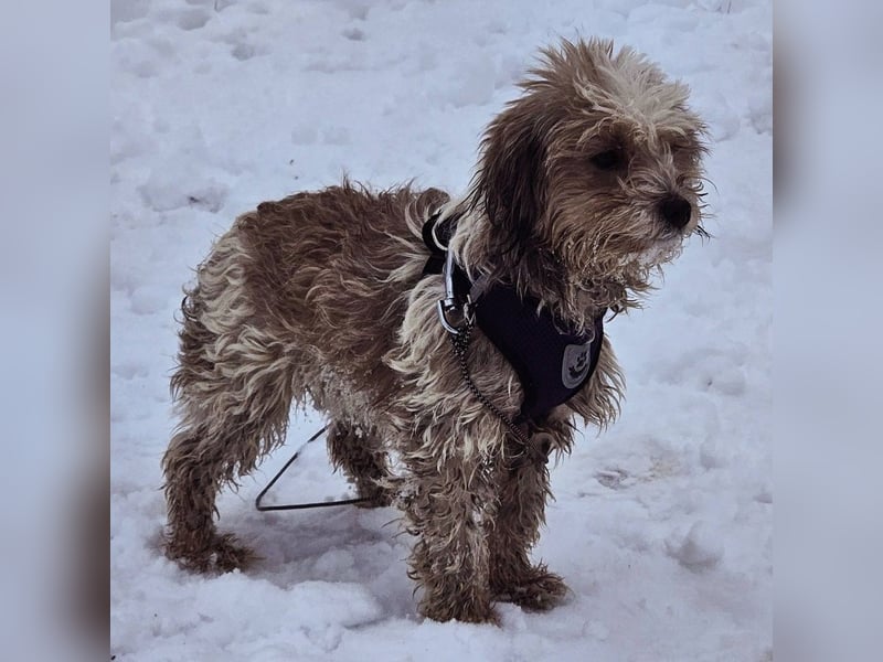 Natassi wird gerne mental gefordert