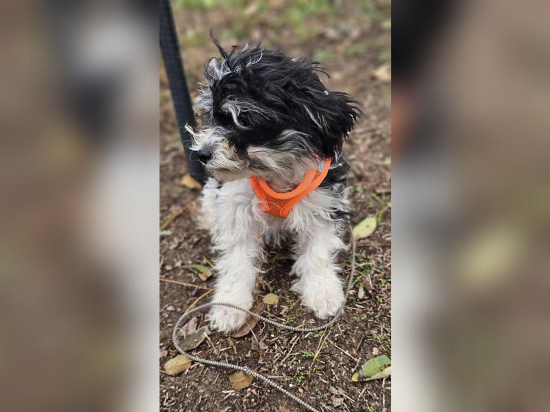 Alexia kennt nicht viel von der Welt