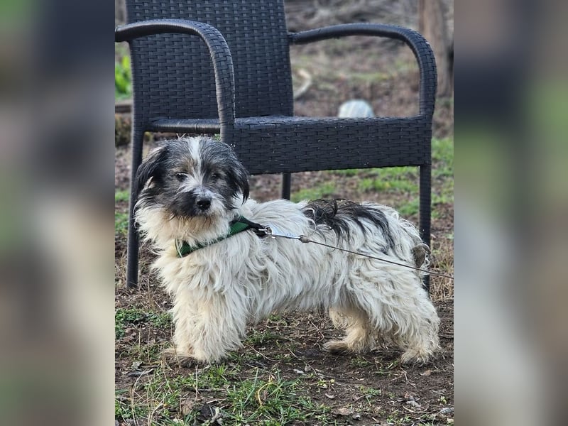 Andrin hat keine schöne Vergangenheit