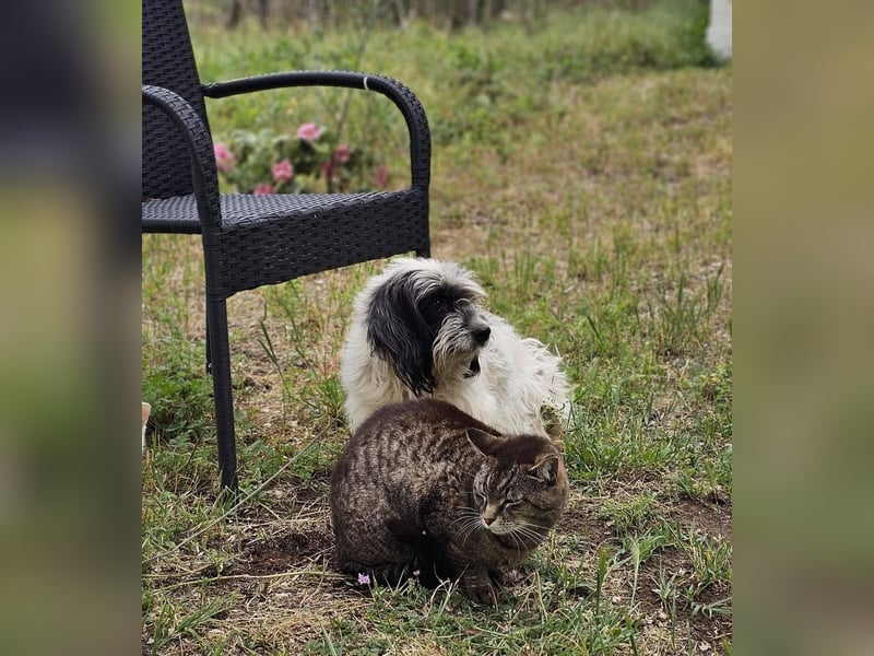 Baily ist bereit Neues zu lernen