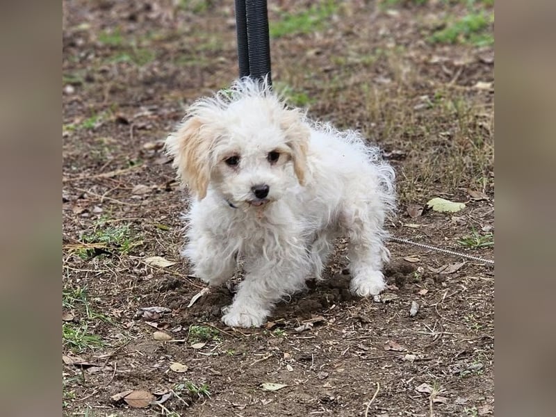 Arion möchte noch viel lernen