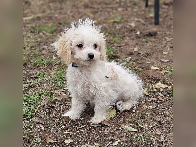 Arion möchte noch viel lernen