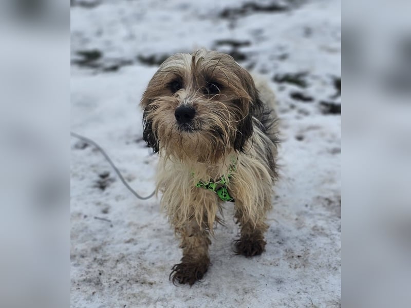 Miniks Leben war oft hart