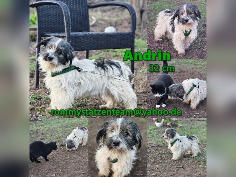 Andrin hat keine schöne Vergangenheit