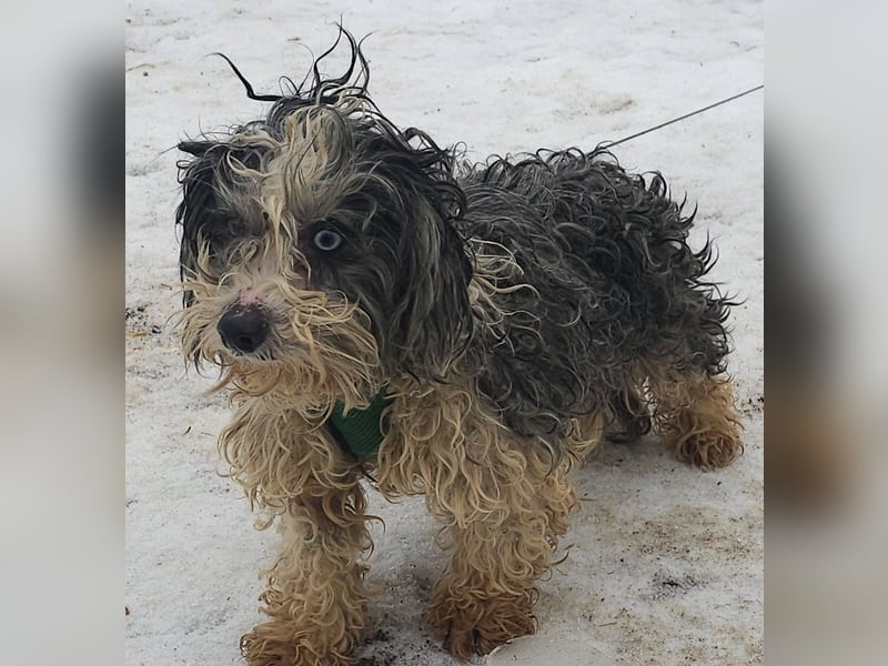 Aldon ist ein verträglicher Zeitgenosse