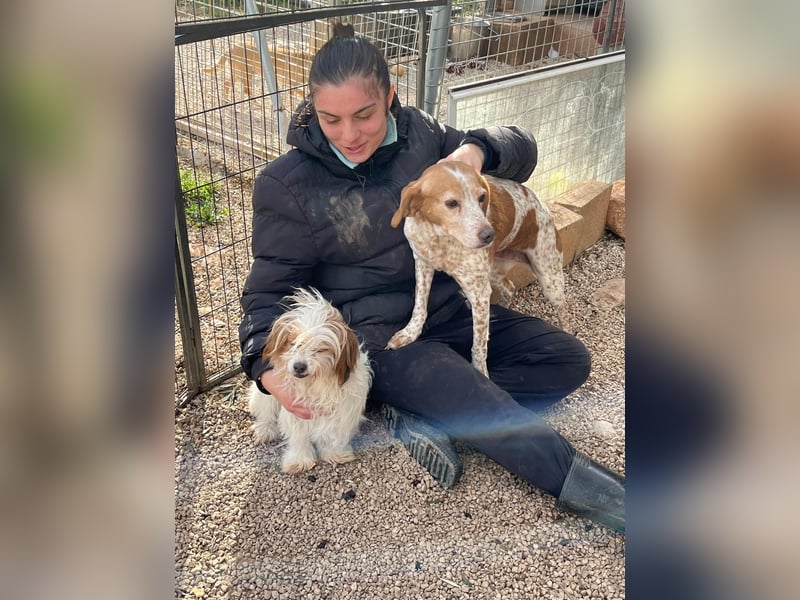 freundliche agile NINET