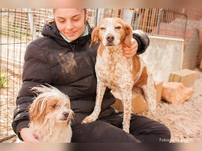 freundliche agile NINET