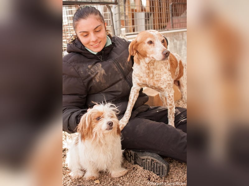 freundliche agile NINET