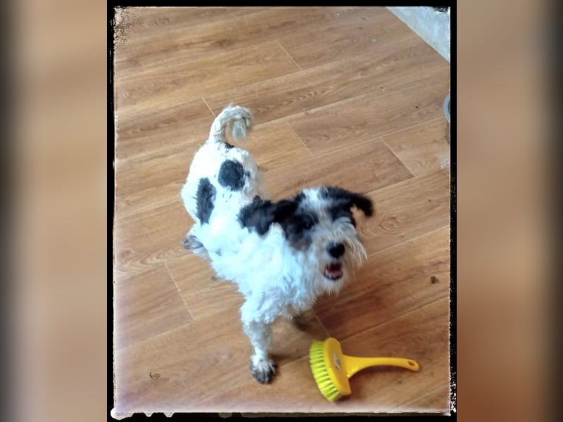 Chloé und Chanel suchen ein gemeinsames Zuhause