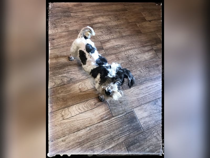 Chloé und Chanel suchen ein gemeinsames Zuhause