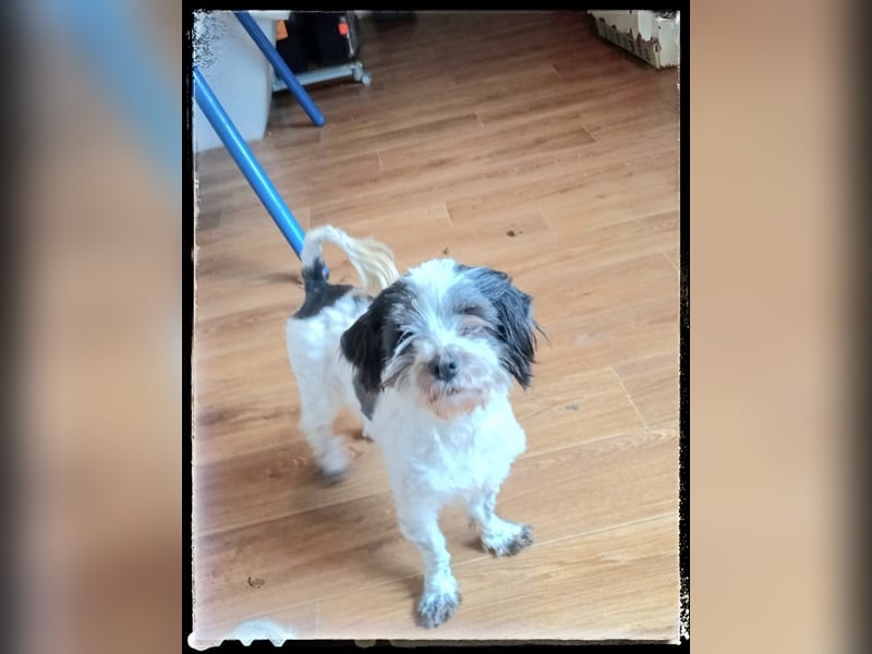 Chloé und Chanel suchen ein gemeinsames Zuhause