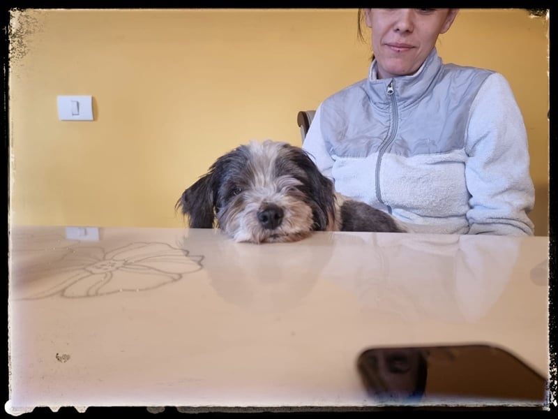 Chloé und Chanel suchen ein gemeinsames Zuhause