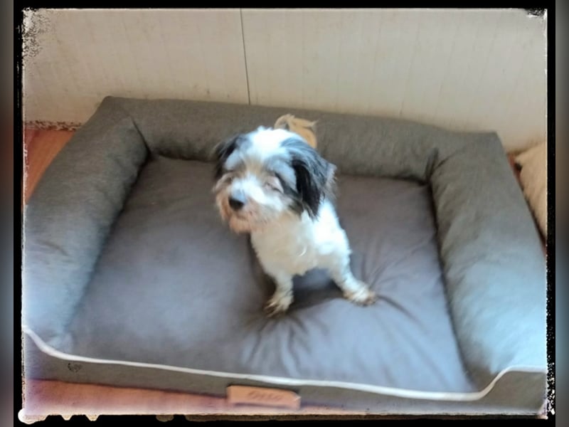 Chloé und Chanel suchen ein gemeinsames Zuhause