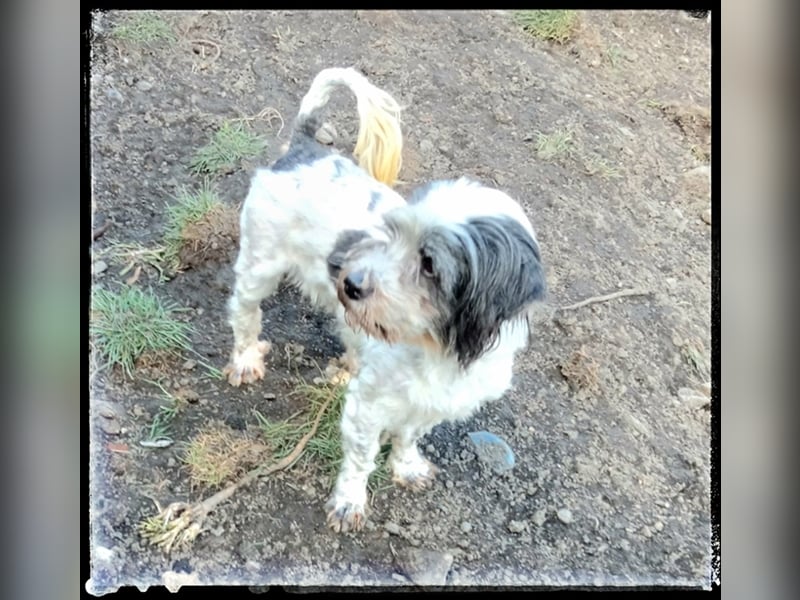 Chloé und Chanel suchen ein gemeinsames Zuhause