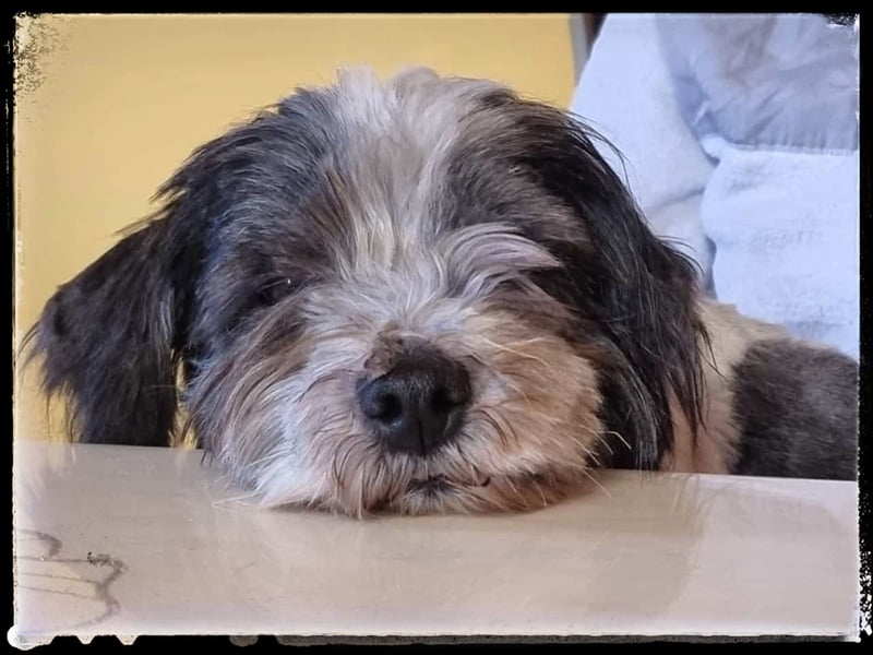 Chloé und Chanel suchen ein gemeinsames Zuhause