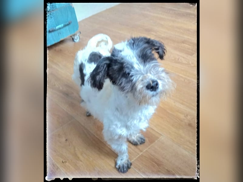 Chloé und Chanel suchen ein gemeinsames Zuhause