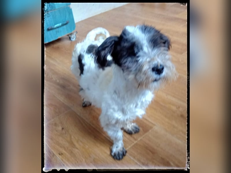 Chloé und Chanel suchen ein gemeinsames Zuhause