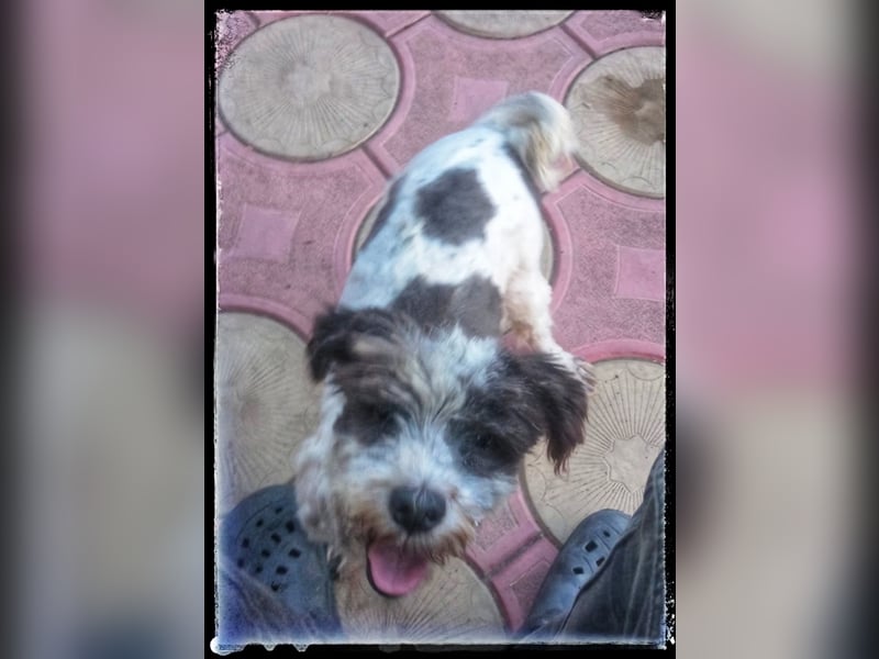 Chloé und Chanel suchen ein gemeinsames Zuhause