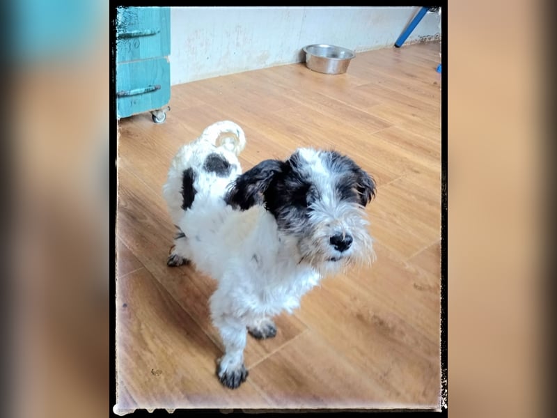 Chloé und Chanel suchen ein gemeinsames Zuhause