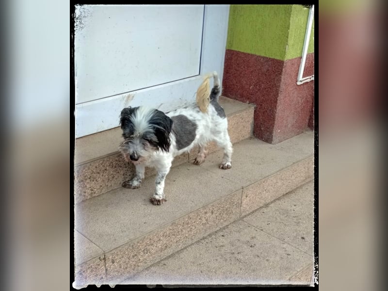 Chloé und Chanel suchen ein gemeinsames Zuhause