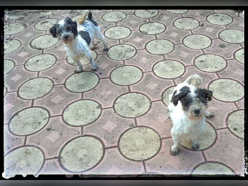 Chloé und Chanel suchen ein gemeinsames Zuhause