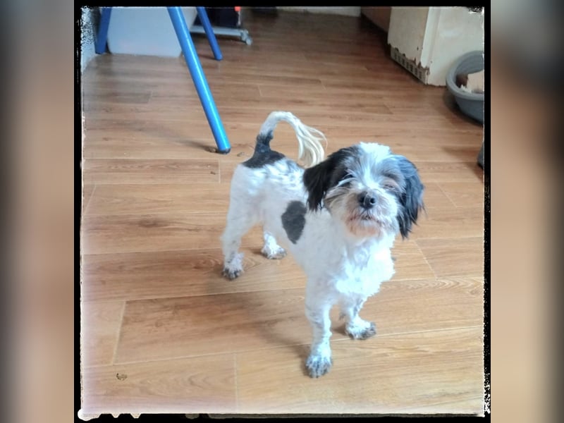 Chloé und Chanel suchen ein gemeinsames Zuhause