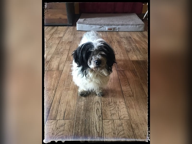 Chloé und Chanel suchen ein gemeinsames Zuhause