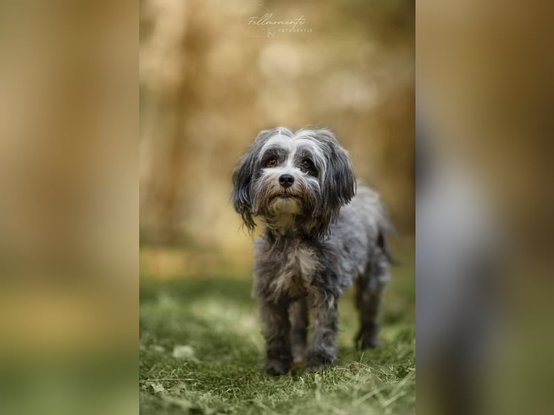 Ebony - freundlich&aktiv